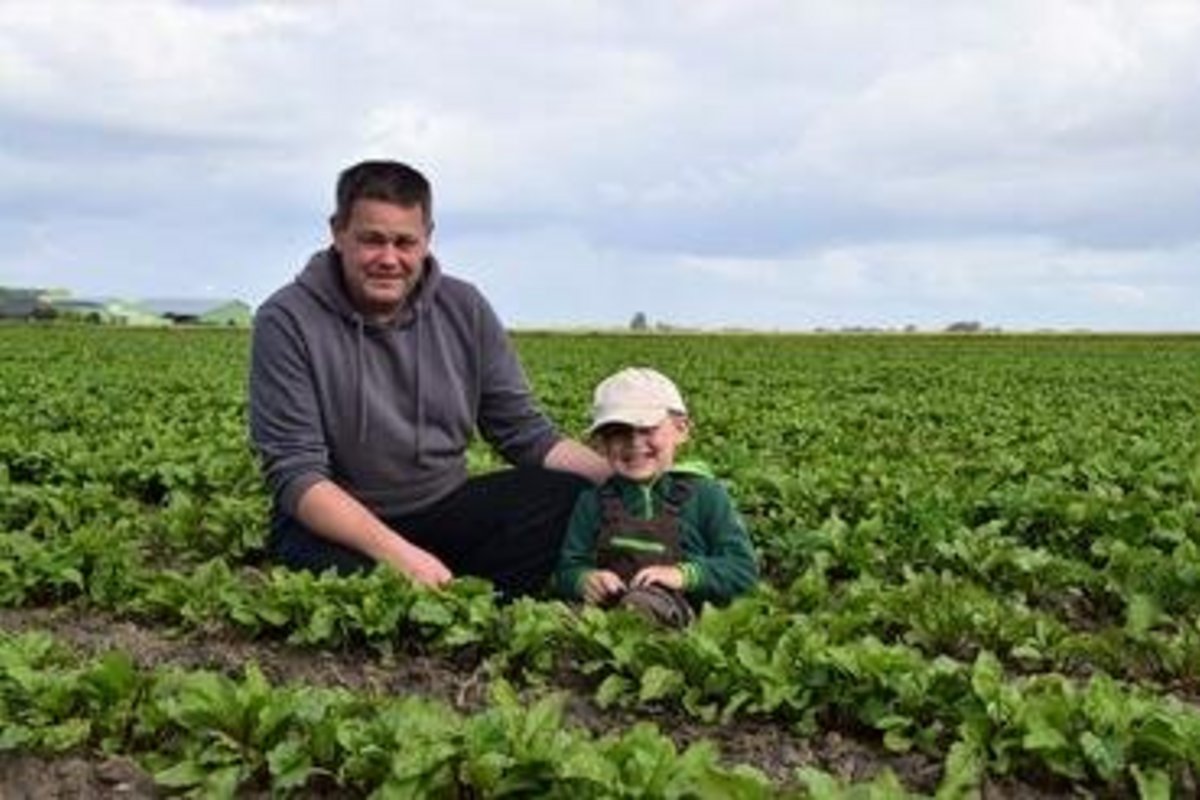 Mann mit Sohn sitzend im Kohlfeld