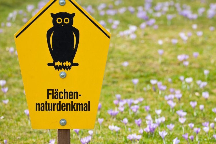 Bild eines Schildes mit der Aufschrift Flächen-Naturdenkmal