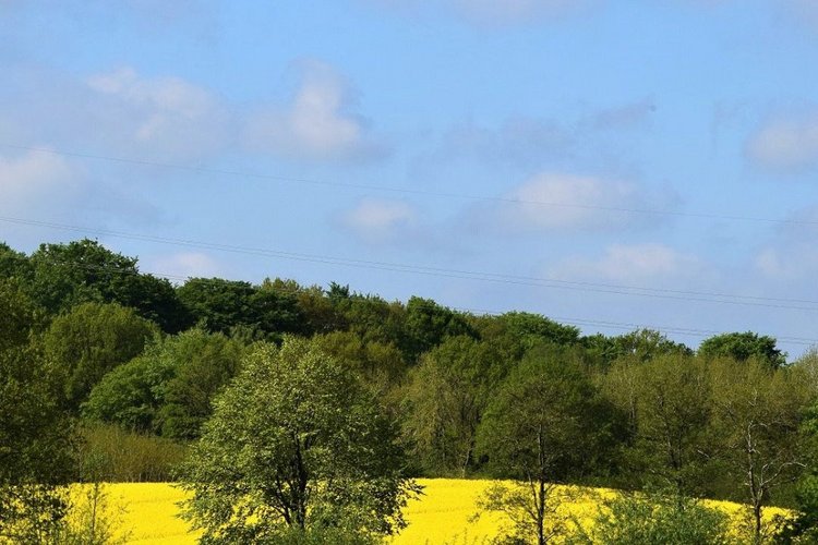 Bild eines Landschaftsschutzgebietes